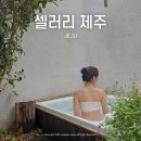 셀러리 | 내돈내산 기대만큼 예뻤지만 아쉬움도 남았던 제주 동쪽 구좌읍 숙소 솔직후기, 셀러리 제주(C/4)