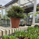 사유집 | [경주 여행] 무열왕릉 옆 아름다운 브런치 카페 "사유적 정원" 방문 후기 (내돈내산) / 1000000% 강추