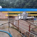 예성농장 이미지