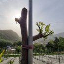 새순1농장 이미지