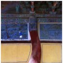 UR(정읍시)-[정읍남로]-상-13 | 청룡사(靑龍寺)의 기둥은 왜 휘어져 있을까?