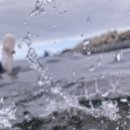 (주)나이스관광 이미지