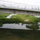 서기묘소 및 신도비 이미지