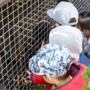 해보농장 이미지