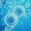 링크늘푸른동물병원 이미지