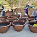 동면 덕치길 이미지