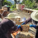 금강1농장 이미지