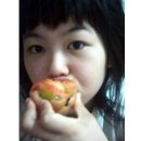 수원-0861 Daum카페