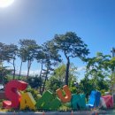 행복 나루터1 이미지