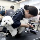 댕댕아 학교가자 이미지