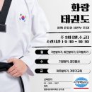 화랑 태권도 | [성북구 정릉동 성인 태권도] 함께 운동할 수련생 모집!