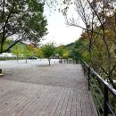 자우림캠핑장 이미지