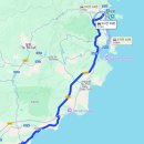 선우목장 2농장 | 베트남 산티아고 투어 나트랑 판랑사막 후기(양떼목장, 포도농장)