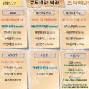 2023년 1월 11일 내일 시가단타 예상, 상한가 및 급등주, 시간외 특징주 이미지