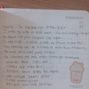 개in택시 이미지