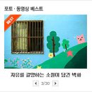 황새알로 티스토리