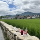 국화펜션 이미지