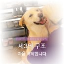 [제3의구조] 현미를 소개합니다🐈🐩 이미지