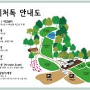 네이처독