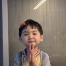 헤어&딜라잇 | 딜라잇 헤어핀 머리핀 헤어악세사리로 완성한 데일리 여자헤어스타일 후기