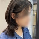 아르브헤어 arvv 이미지