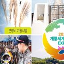 투어앤엑스포