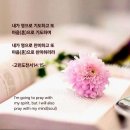 IMA: 딜셰이커(DealShaker)와 ONE/OES 비전 요약. 2026.09.22.화 이미지