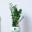 드림신경외과의원 이미지