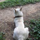 깍꼬뽁꼬 이미지