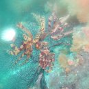 바다속으로 - 광주시 양촌길 141 | 바다속으로