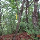 당리고개 이미지