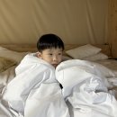 충남 청양 생활의 달인 나는 솔로사계 촬영지 깔끔한 수영장 자쿠지 있는 신축 리썸 글램핑장 후기