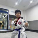 삼성어린이집 | 양천구 태권도 목동 태권도, 고민이라면? 아이가 달라진 3월 심사 후기 (신목초·삼성어린이집)