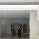 [온무브] 요가 체험 후기