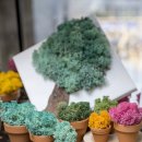 책+식물놀이터 이미지