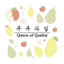 디자인큐큐