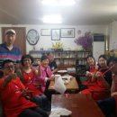 강남애니동물메디컬센터