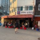 총각네애견 네이버블로그