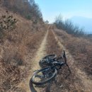 유림카센타 이미지