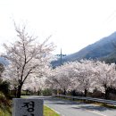 보현산 약초마을 이미지