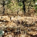 의령 죽전리 고분군 이미지