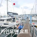 선프라자 앞 | 부산여행 필수 코스 카인드맨 요트투어 후기