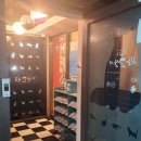 청춘 고양이 카페 이미지