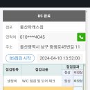 파래스 이미지