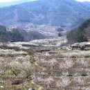 용오름농촌체험휴양마을 경향신문