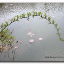 다르게 천천히 이미지