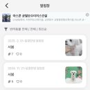 달콤한댕 이미지