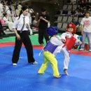 충무공태권도장 이미지