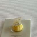 패밀리코스 | [롯데호텔 서울] 피에르 가니에르 런치 크리스마스 코스 창가 좌석 패밀리클럽 내돈내산 후기~!