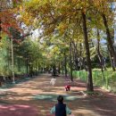 평안어린이집 이미지